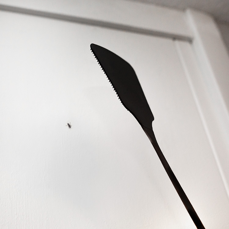 Flugsmälla