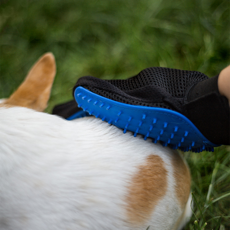 Borsthandske till hund & katt