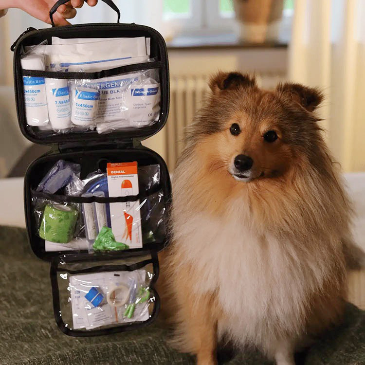 Första hjälpen-kit för hund och katt, Bered