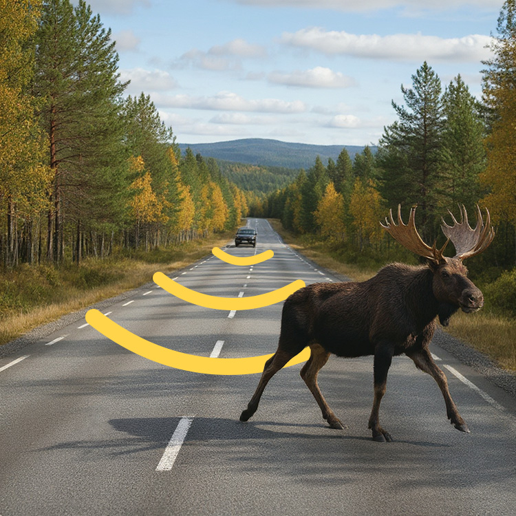 Viltskrämma till bilen