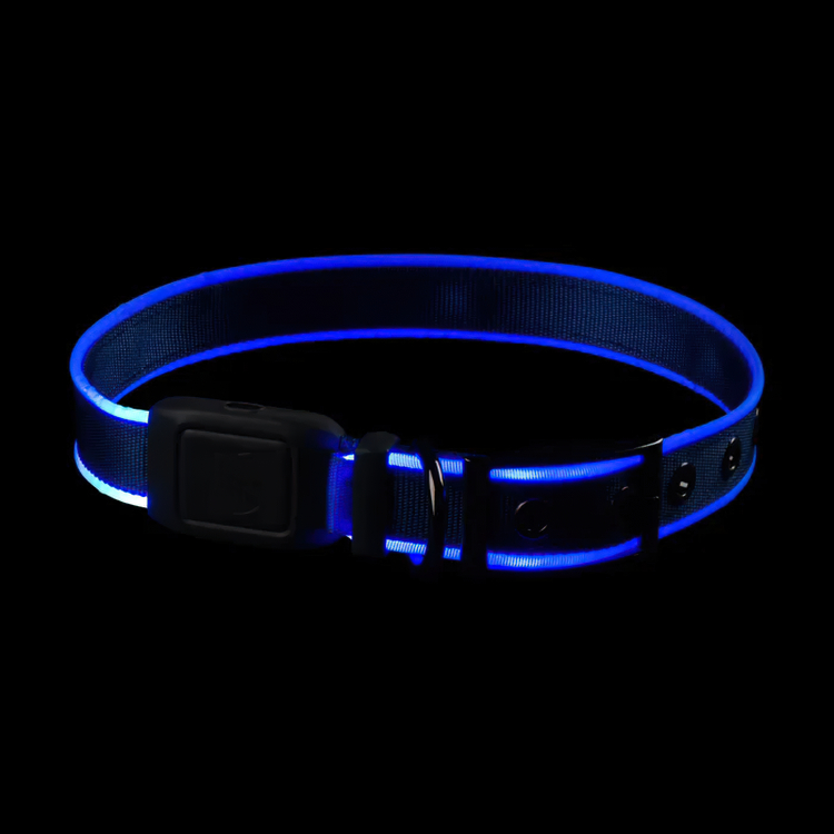 Lysande hundhalsband