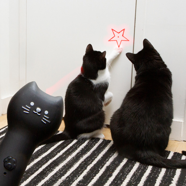 Laserpekare för katt