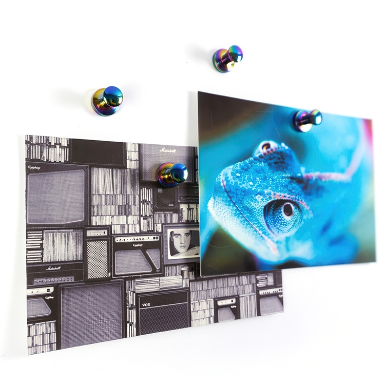 Magnet med knopp 4-pack
