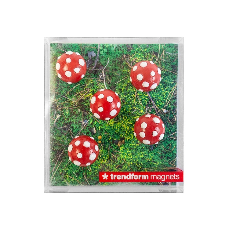 Magnetfigur 5-pack, Flugsvamp