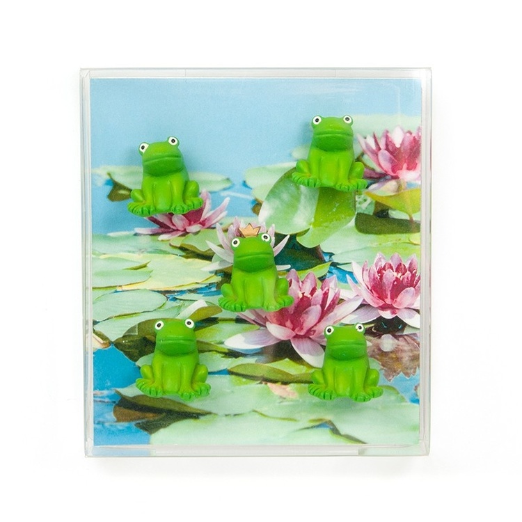 Magnetfigur 5-pack, Groda
