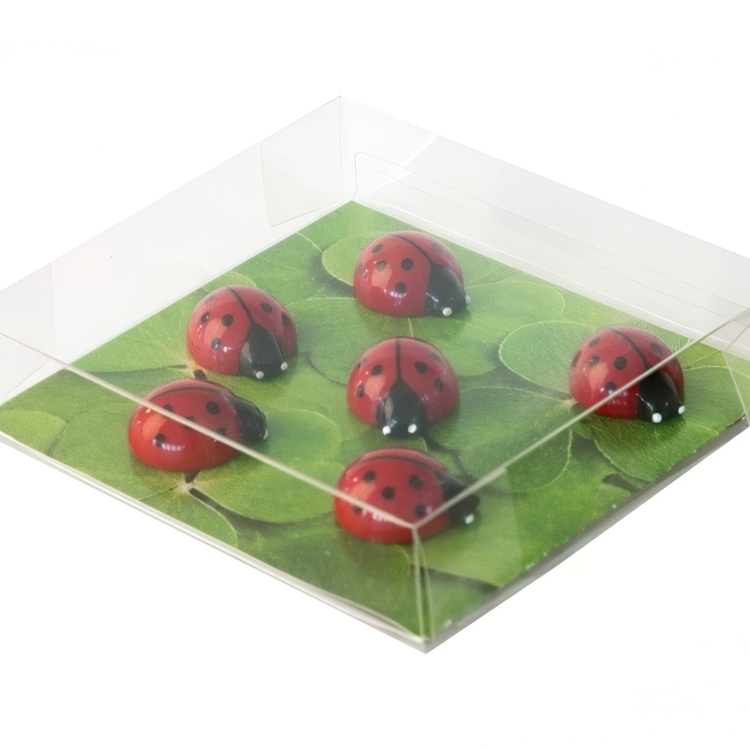 Magnetfigur 6-pack, Nyckelpiga