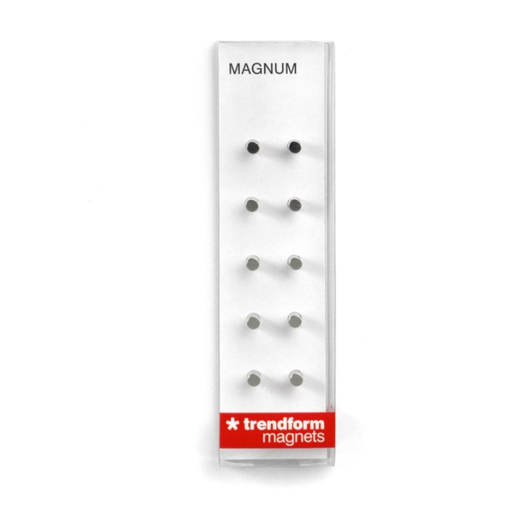 Minimagnet cylinder 10-pack, Silver
